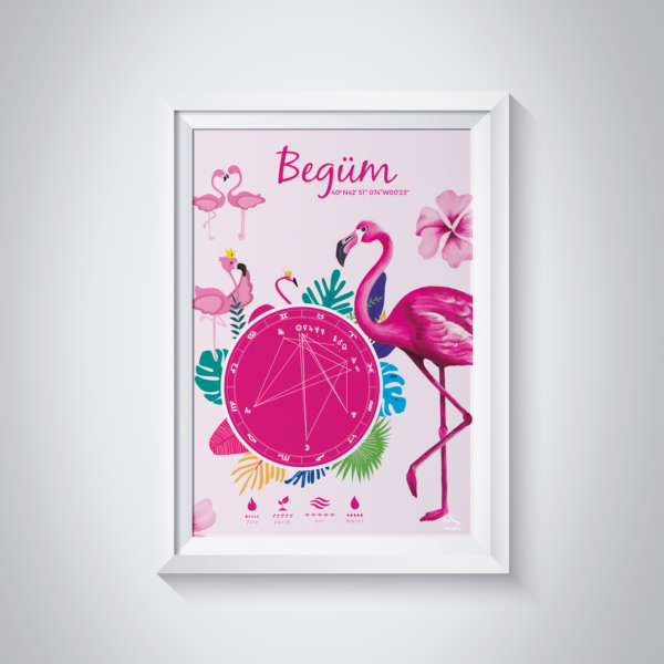 Kişiye Özel Doğum Haritası Posteri - Flamingo