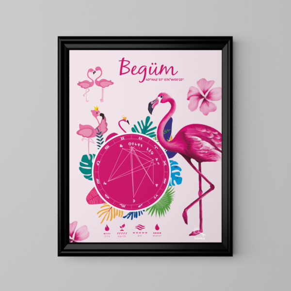 Kişiye Özel Doğum Haritası Posteri - Flamingo - Image 2